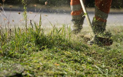 Entretien des espaces verts sur le Bassin d&rsquo;Arcachon
